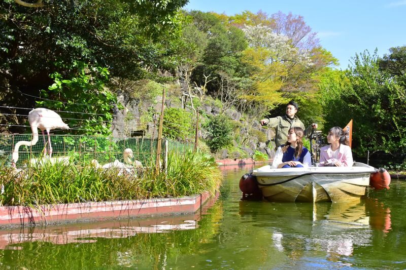 Izu Shaboten Zoo Ticket in Shizuoka - Capybaras, cactus and close encounters