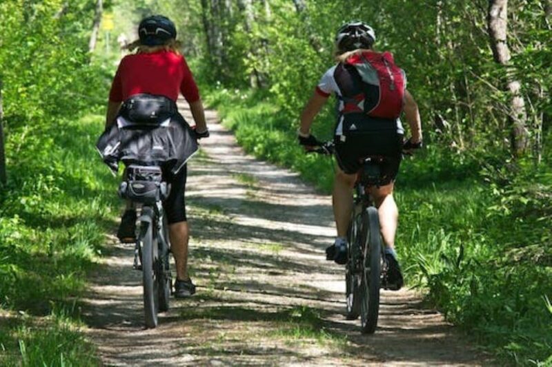 Jaca: Mountain Bike Rental - Exploring Jaca and the Pyrenees on Two Wheels
