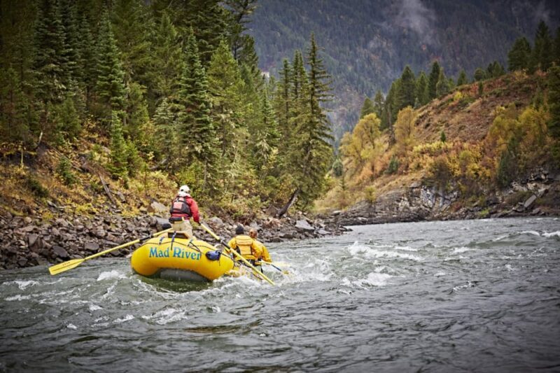 Jackson: 8-Mile Classic Boat Whitewater Rafting Trip - Experience Overview: What You Can Expect