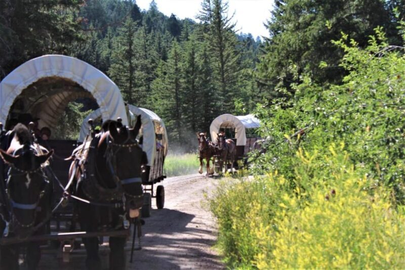 Jackson: Chuck Wagon Cookout and Live Show - Live Entertainment and Atmosphere