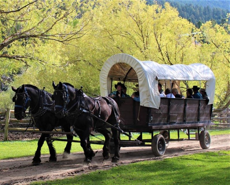 Jackson: Chuck Wagon Cookout and Live Show - Practical Details and Considerations