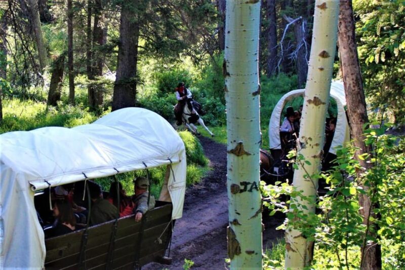Jackson: Chuck Wagon Cookout and Live Show - Who Will Love This Tour?
