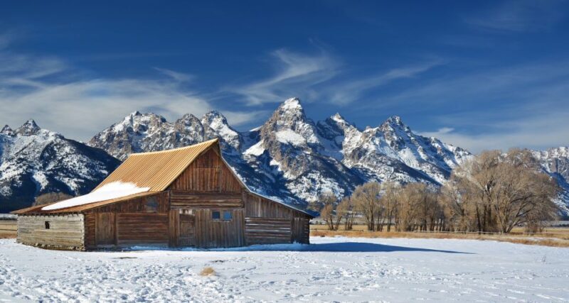 Jackson: Grand Teton and National Elk Refuge Winter Day Trip - Who Will Love This Tour?