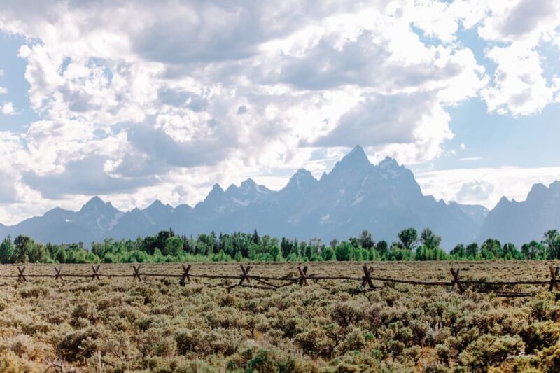 Jackson: Grand Teton Sunrise Safari with Naturalist Guide - A Thorough Look at the Grand Teton Sunrise Safari