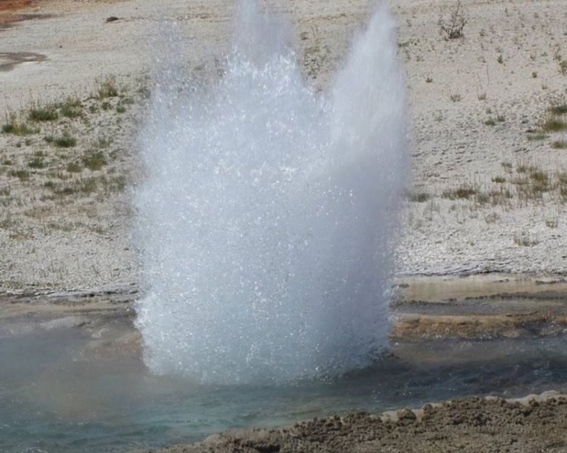 Jackson Hole 3-Day Guided Safari: Yellowstone & Tetons - Final Thoughts