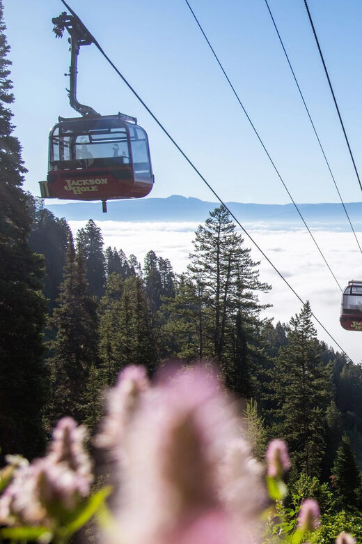 Jackson Hole: Aerial Tram and Gondolas Sightseeing - Practical Details and Tips