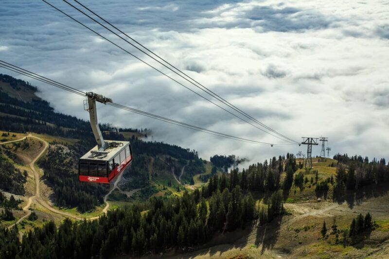 Jackson Hole: Aerial Tram and Gondolas Sightseeing - Who Will Love This Tour?