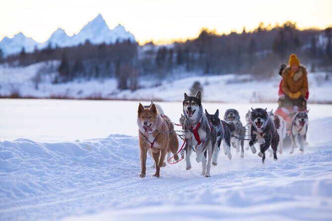 Jackson Hole Dog Sledding Adventure - Location and Setting