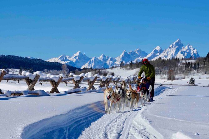 Jackson Hole Full-Day Dog Sledding and Snowmobiling Combo Trip - Key Points