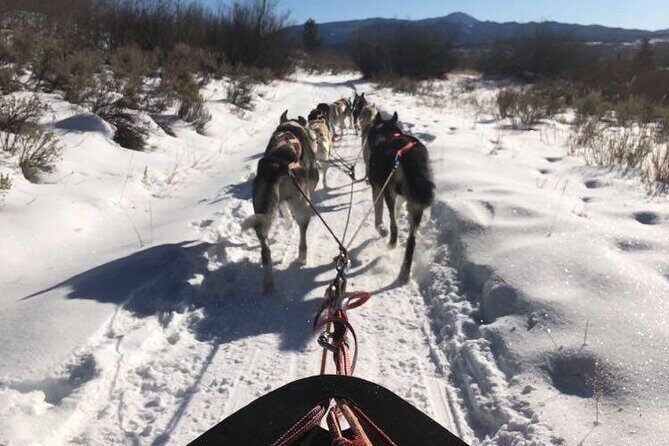 Jackson Hole Full-Day Dog Sledding and Snowmobiling Combo Trip - FAQ