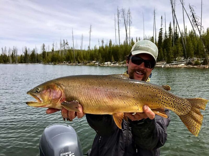 Jackson Hole: Private Fly Fishing Trip with Guide - Jackson Hole: Private Fly Fishing Trip with Guide — A Detailed Review