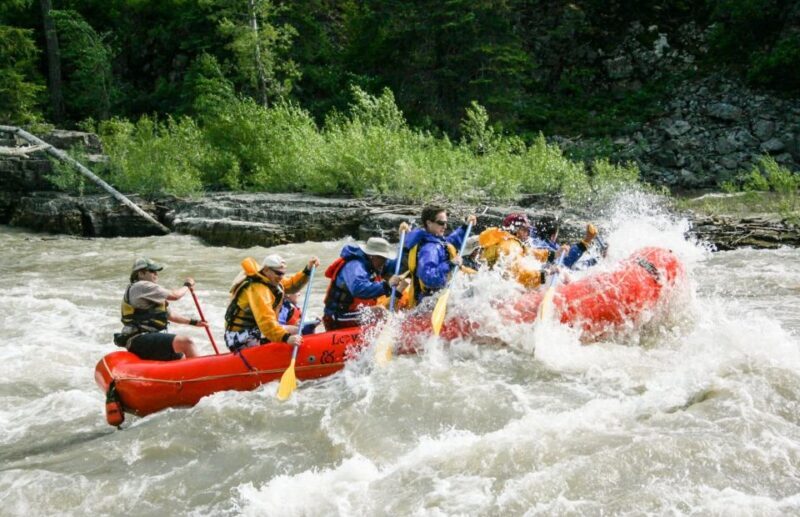 Jackson Hole: Snake River Whitewater Rafting Tour - The Itinerary and What to Expect
