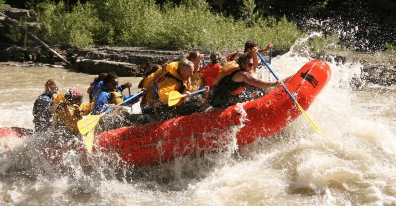 Jackson Hole: Snake River Whitewater Rafting Tour - The Scenic and Wildlife Highlights