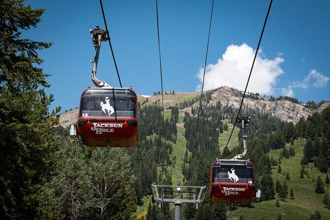 Jackson Hole Summer Aerial Tram Sightseeing - Practical Tips for Visiting