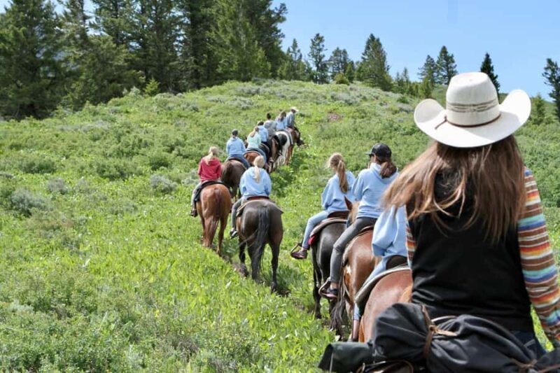 Jackson Hole: Teton View Guided Horseback Ride with Lunch - Detailed Review of the Jackson Hole Horseback Ride