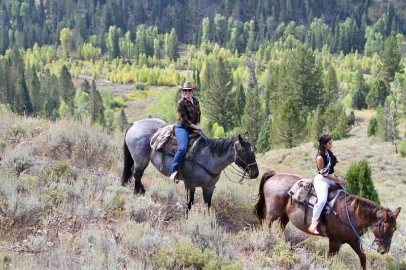 Jackson Hole: Teton View Guided Horseback Ride with Lunch - FAQs