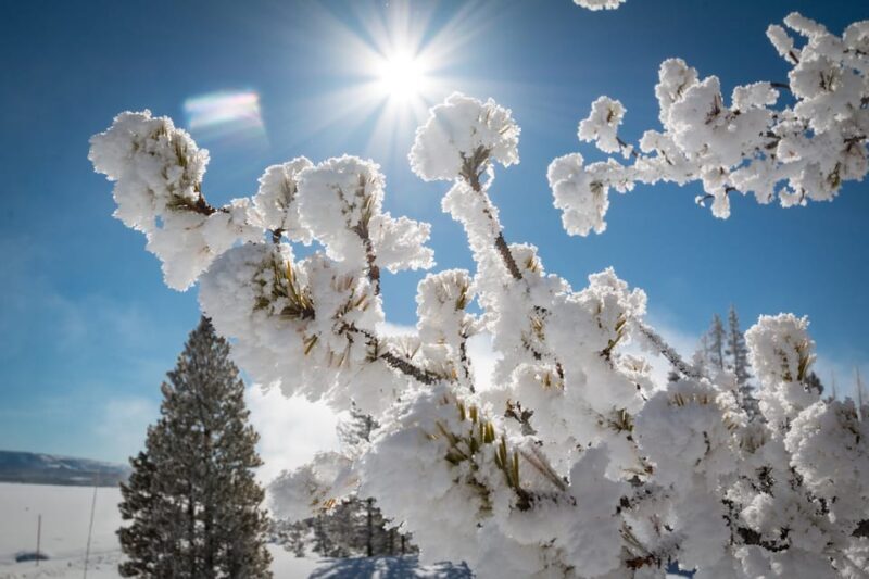 Jackson: Yellowstone Snowmobile Tour to Old Faithful - The Itinerary: What to Expect on Your Yellowstone Snowmobile Adventure