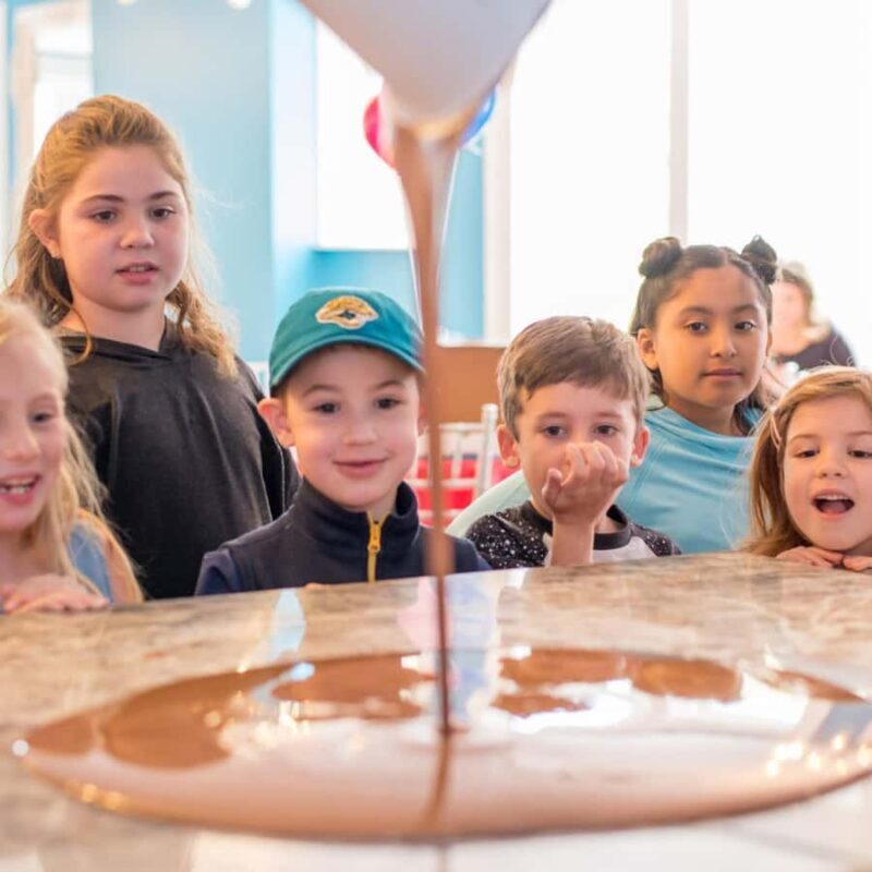 Jacksonville: Chocolate Bar Making Class at Sweet Pete's - Key Points