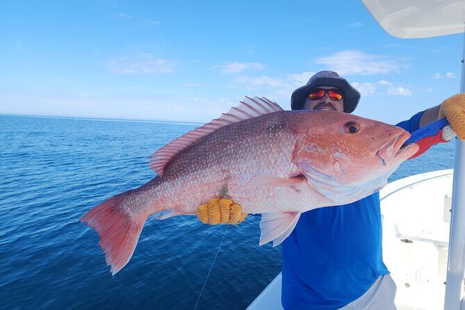 Jacksonville Private Boat Tour Daytime or Sunset, up to 6 people - In The Sum Up