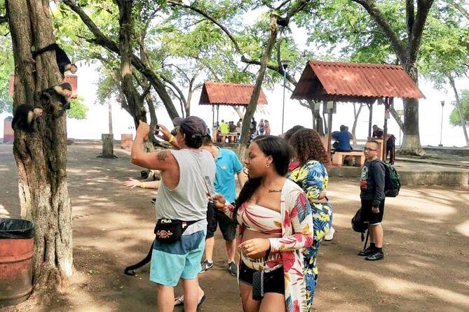 Jaco Highlights Tour - The Jaco Viewpoint and Photo Stop