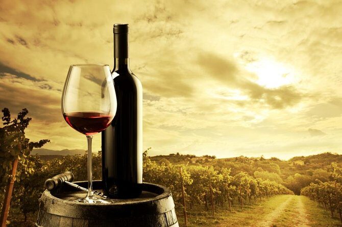 Jacob's Creek Double Barrel Signature Tasting Experience & Lunch - Final Thoughts: Who Should Consider This Tour?