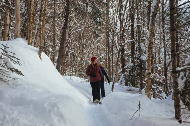 Jacques-Cartier: National Park Entry Ticket & Snowshoeing - Frequently Asked Questions
