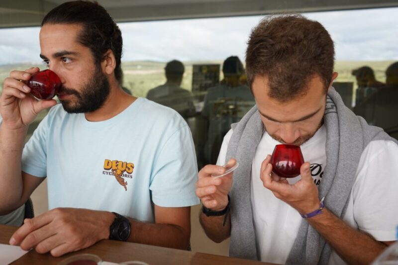 Jaén: Aires de Jaén Olive Oil Tasting Class - What’s Included and What’s Not