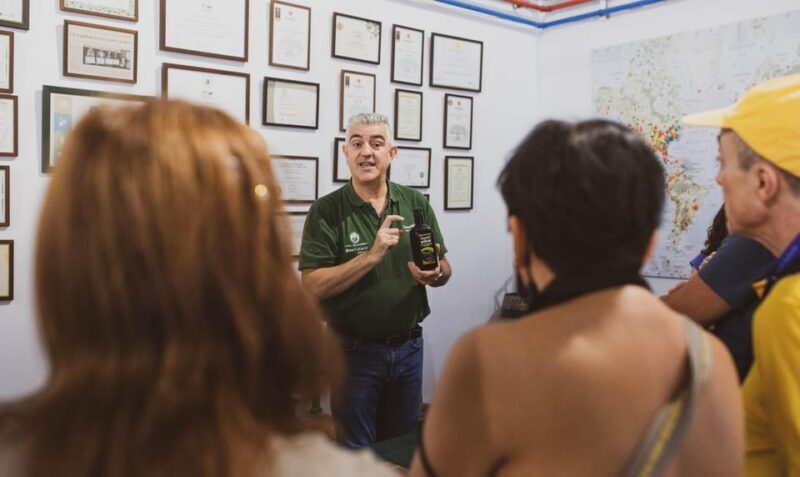 Jaén: Guided Olive Grove Tour - FAQ