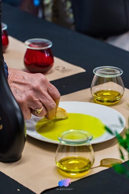 Jaén: Guided Olive Mill Tour with Olive Oil Tasting - Key Points