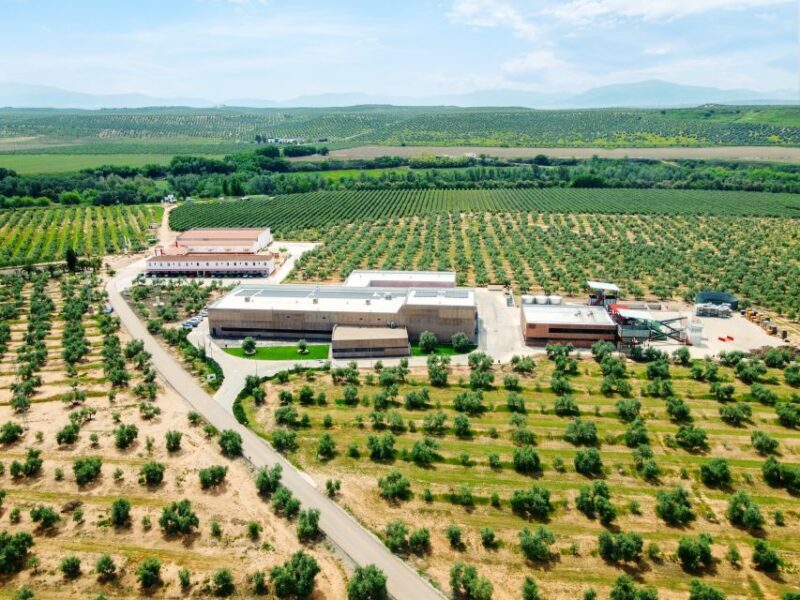 Jaen: Olive oil tour with the 5 senses, grove and tasing - Frequently Asked Questions (FAQs)