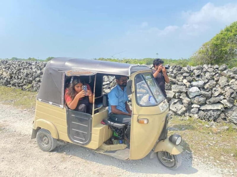 Jaffna: Delft and Nainativu Island Tour with Local Guide - An In-Depth Look at the Experience