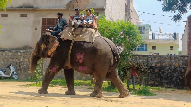 Jaipur 2 Day Private Tour With Guide - Key Points