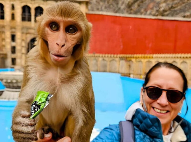 Jaipur: Amber Fort Guided Tour with Skip-the-Line Tickets - Final Thoughts