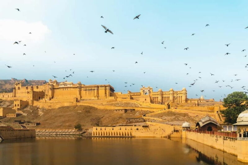 Jaipur: Amber Fort Guided Walking Tour - Practical Details and Tips