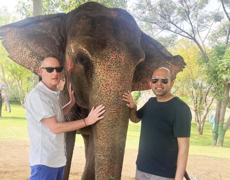 Jaipur: Amber Fort, Jal Mahal and Hawa Mahal Private Tour - What You Can Expect on This Jaipur Tour