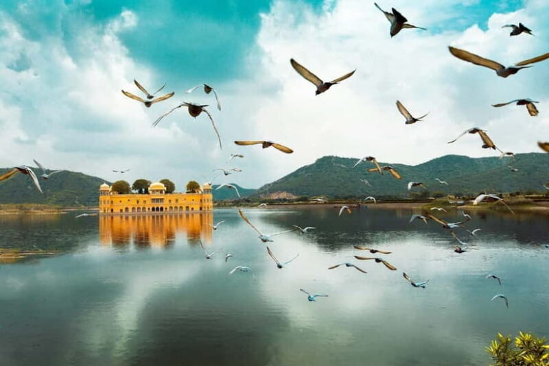 Jaipur: Amber Fort, Stepwell & Jal Mahal with Pickup - An In-Depth Look at the Tour Experience