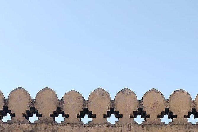 Jaipur City Full Day Luxury Private Tour - FAQs