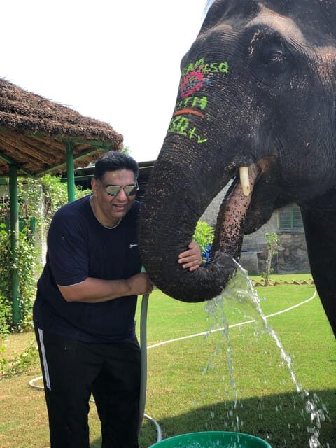 Jaipur: City Tour With Elephant Interaction - Exploring Jaipur: A Deep Dive into the Day’s Highlights