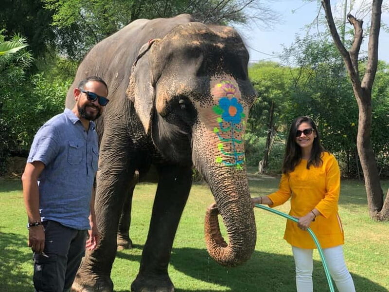 Jaipur: Elephant Interaction Tour - Quick Overview