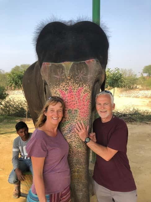 Jaipur: Elephant Interaction Tour - Key Points