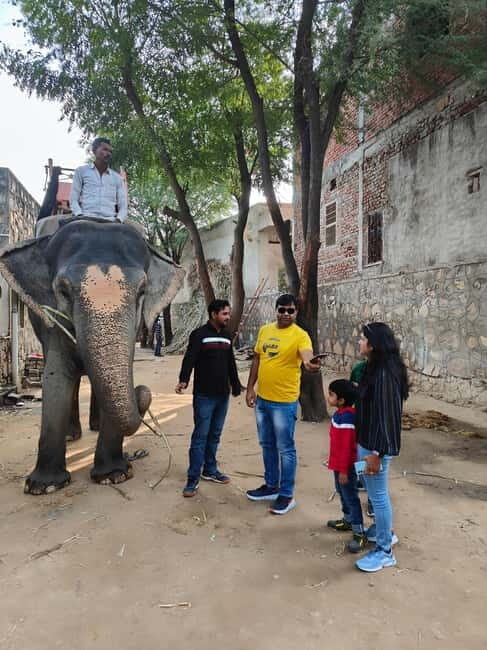 Jaipur: Full-Day city Tour By AC vehicle with Guide - Discover Jaipur in a Day: A Practical Guide to the Full-Day City Tour