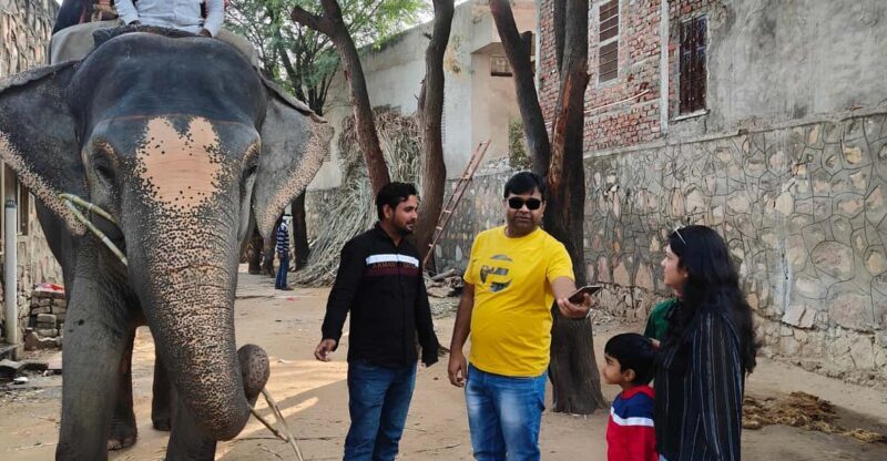 Jaipur: Full-Day city Tour By AC vehicle with Guide - The Sum Up: Is This Tour Worth It?