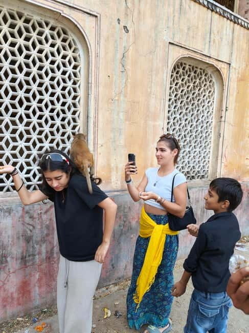 Jaipur Full-Day City Tour with Monkey Temple By AC Car - An In-Depth Look at the Jaipur Full-Day City Tour