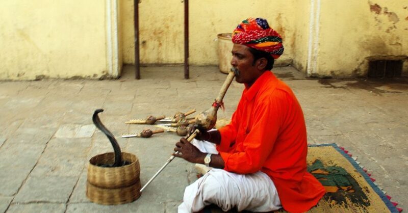 Jaipur: Full-Day Private City Tour by Car with Guide - Authentic Insights from Travelers