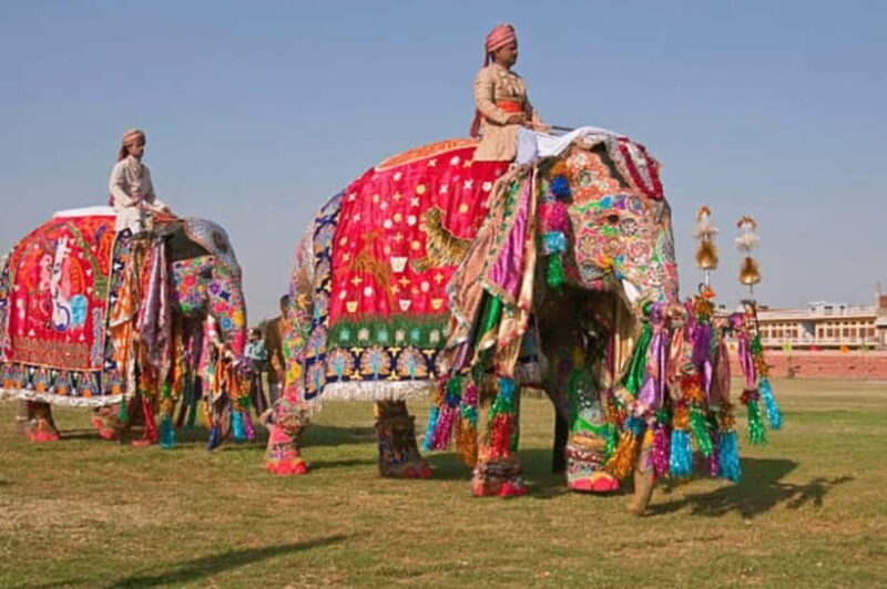 Jaipur: Full-Day Sightseeing Tour By Car with Guide - Key Points