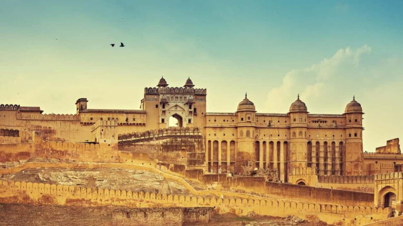 Jaipur: Full-Day Sightseeing Tour w/ Guide & Lunch (Buffet) - Who Should Consider This Tour?