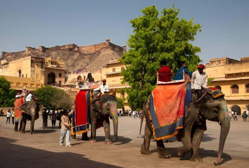 Jaipur Full Day Tour with Pickup & Drop-off in Agra or Delhi - The Detailed Experience: What You Can Expect on the Jaipur Full Day Tour