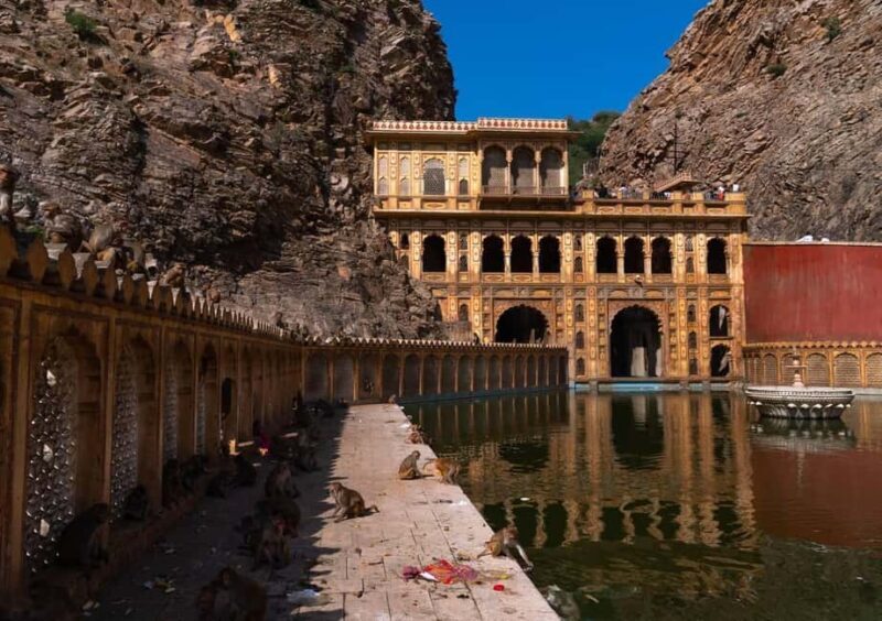 Jaipur: Heritage Forts & Palaces Tour with Monkey Temple - Practical Details: What You Need to Know