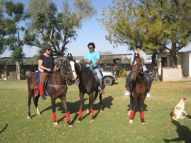 Jaipur Horse Riding Adventure - What You Can Expect on the Tour