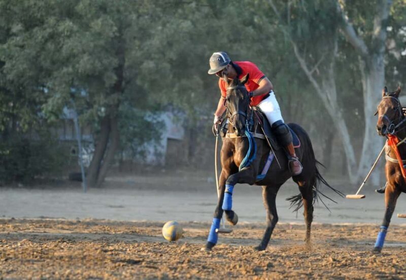 Jaipur Horse Riding Adventure - Who Will Love This Tour?